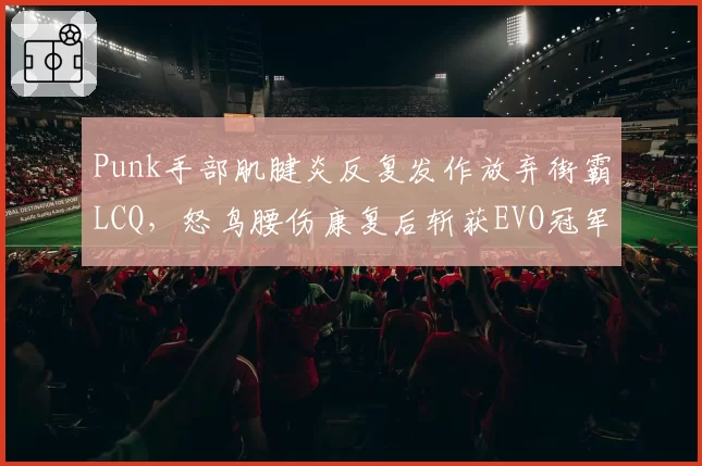 Punk手部肌腱炎反复发作放弃街霸LCQ,怒鸟腰伤康复后斩获EVO冠军,格斗圈伤病影响两极